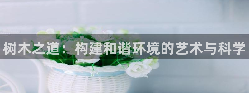 天顺娱乐骡秦55312