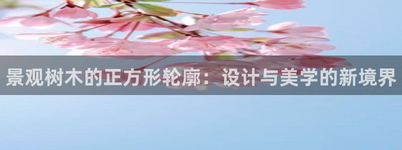 娱乐大主播聊天顺口溜