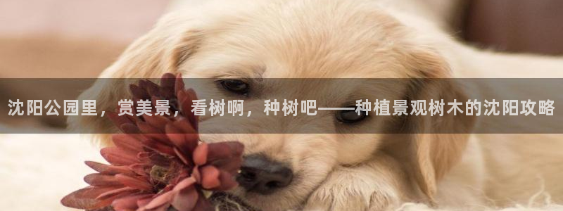 天顺娱乐丈70648
