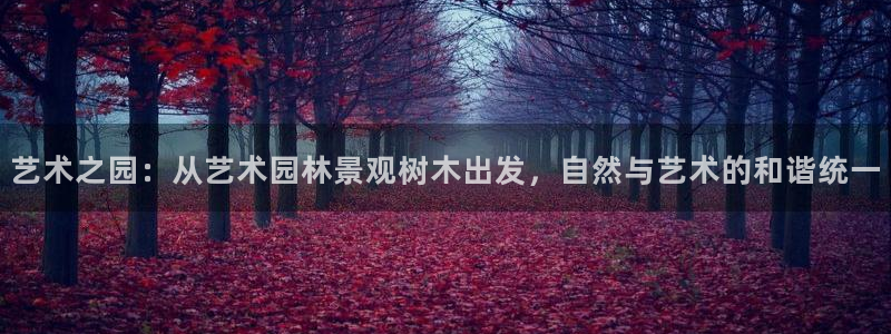 天顺娱乐怎样看K线图