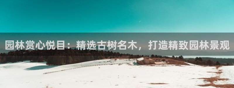天顺娱乐列943994