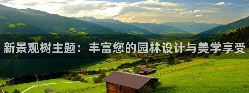 天顺娱乐主管指尖右