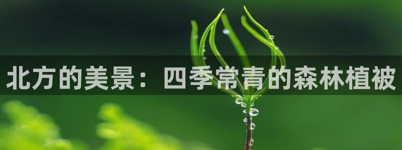 天顺娱乐20h判官333OO