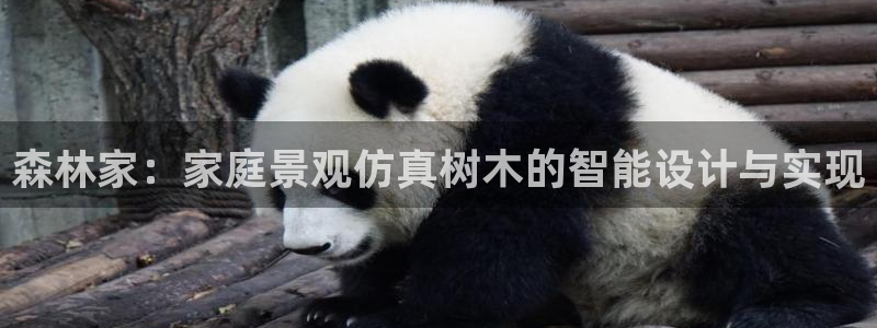 天顺娱乐乘 33300pg