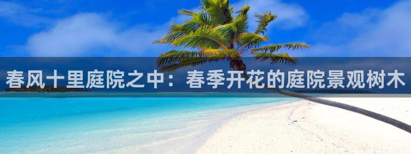 天顺娱乐陶18 888