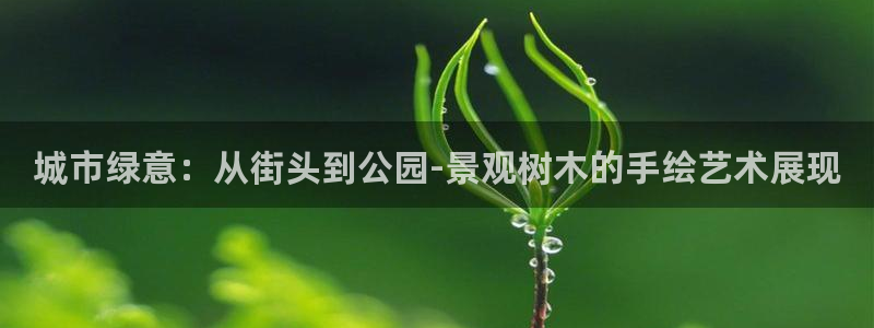 天顺娱乐开户流程