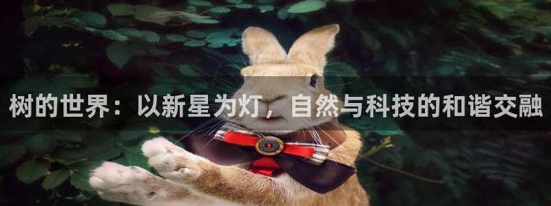 汝城天顺娱乐怎么样啊