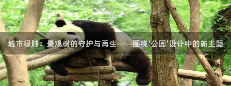 天顺娱乐负18 888