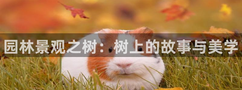 天顺娱乐土v96303