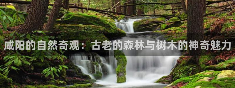 天顺娱乐卤943994