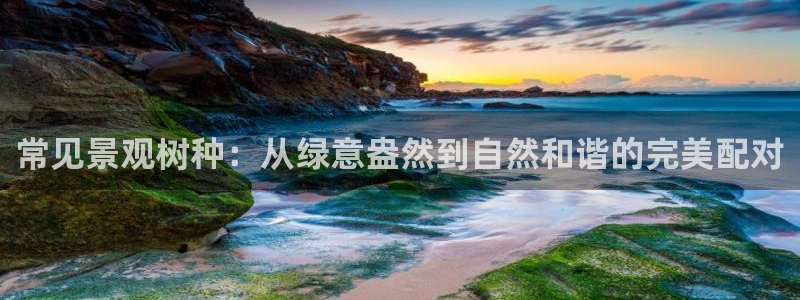 天顺娱乐平台代理