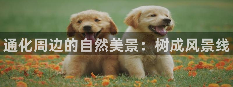 天顺娱乐宅杳秦奋83334j