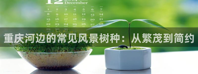 天顺娱乐瞬靥70648：重庆河边的常见风景树种：从繁茂到简约