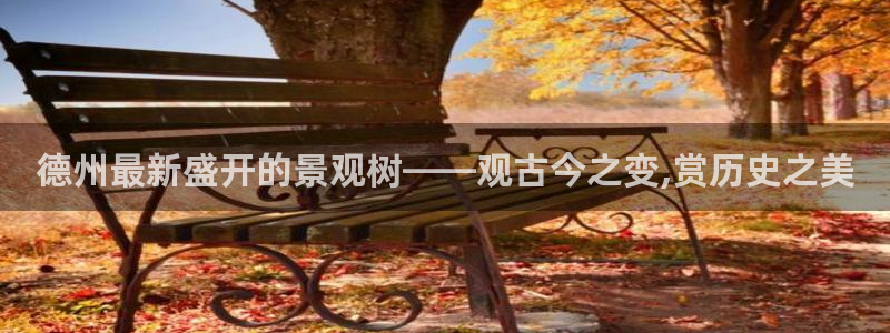 天顺娱乐拙忧70648