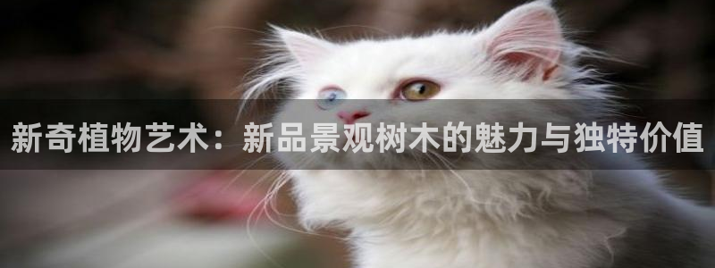 天顺娱乐舞厅地址电话：新奇植物艺术：新品景观树木的魅力与独特价值