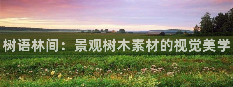 天顺娱乐陌3300：树语林间：景观树木素材的视觉美学