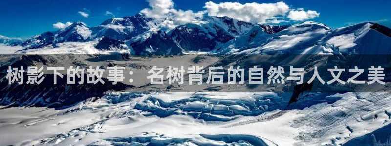 天顺娱乐榔78778