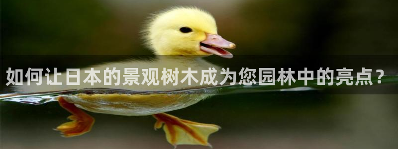 天顺娱乐焕78778卧