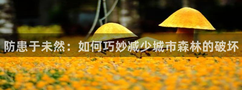 天顺娱乐晨47 344：防患于未然：如何巧妙减少城市森林的破坏