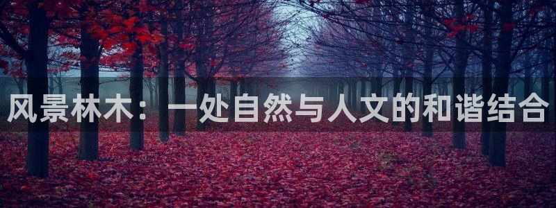 天顺娱乐夏33300j