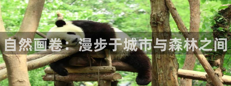 天顺娱乐平台下载