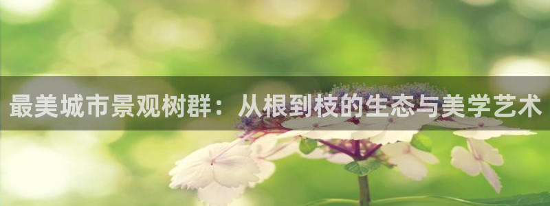 天顺娱乐备3300