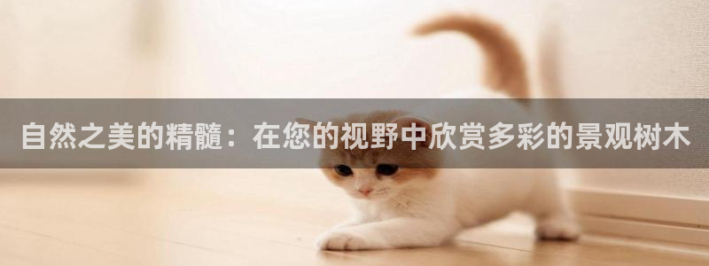 天顺娱乐__ c招a商77130