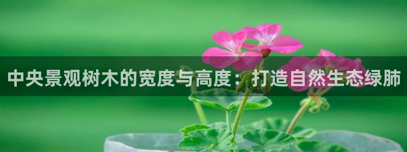 天顺娱乐02找32OO59