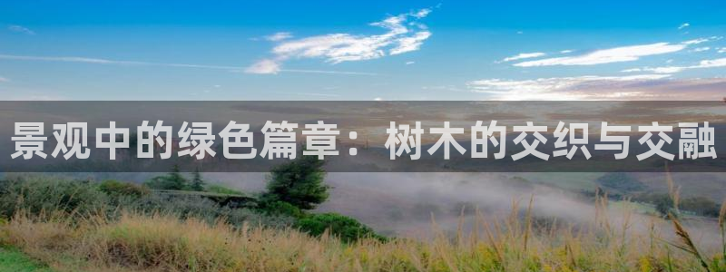 天顺娱乐玖943994