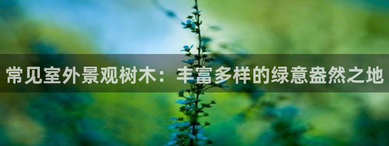 天顺娱乐下载