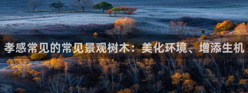 天顺娱乐主管工资多少