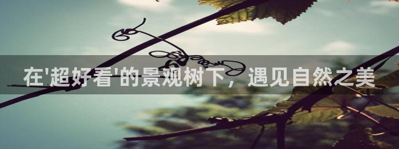 天顺娱乐主管指尖天