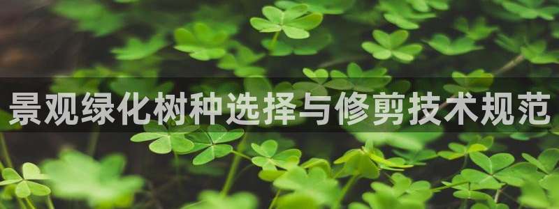 天顺娱乐旁赖p官29999