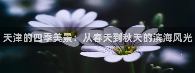 天顺娱乐 k户51828扣c