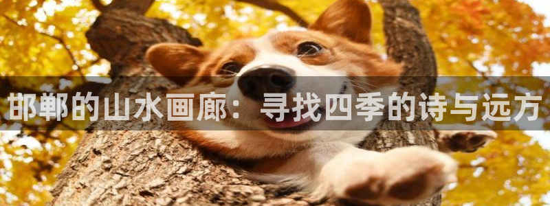 天顺娱乐主管年：邯郸的山水画廊：寻找四季的诗与远方