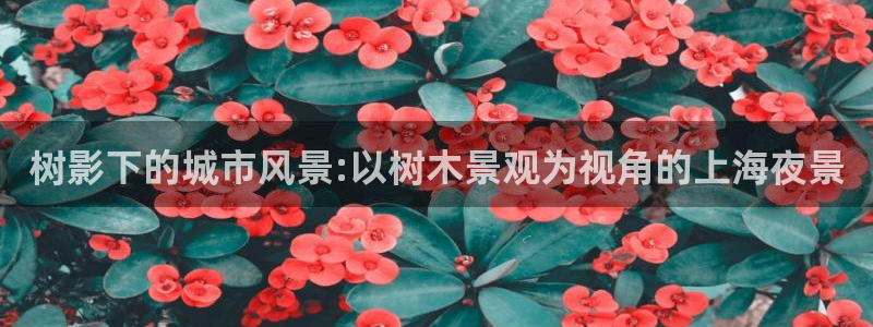 汝城天顺娱乐场所电话：树影下的城市风景:以树木景观为视角的上海夜景