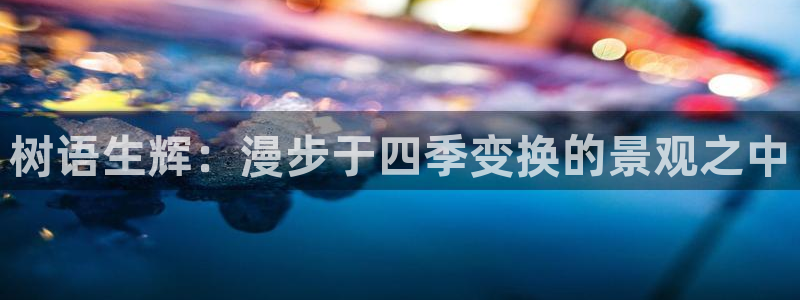 天顺娱乐火儿pg22650：树语生辉：漫步于四季变换的景观之中