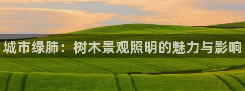 天顺娱乐直播间：城市绿肺：树木景观照明的魅力与影响