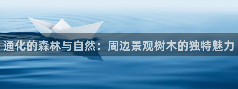 天顺娱乐张7O667：通化的森林与自然：周边景观树木的独特魅力