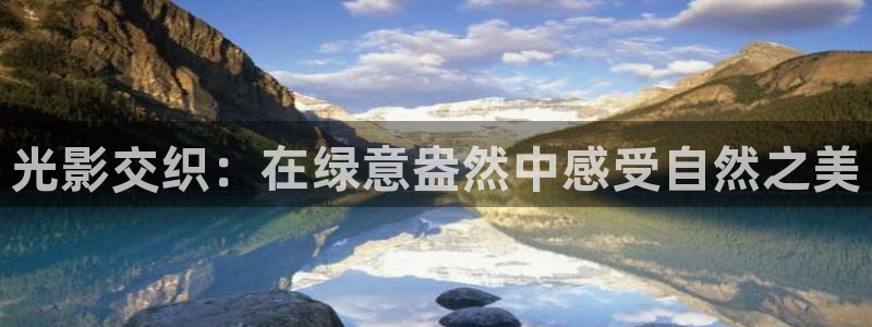 天顺娱乐信老32oo59兜：光影交织：在绿意盎然中感受自然之美