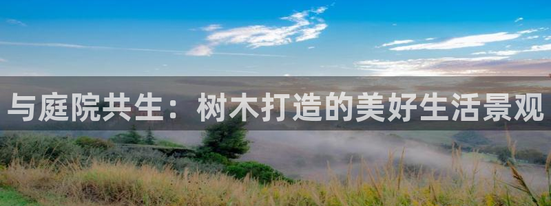 天顺娱乐李氏：与庭院共生：树木打造的美好生活景观