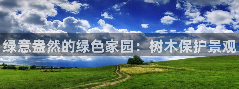 天顺娱乐露拘70648：绿意盎然的绿色家园：树木保护景观