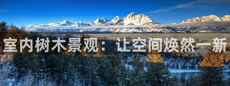 天顺娱乐股凰硕菲:室内树木景观:让空间焕然一新